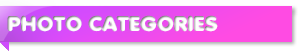 Photo Categories
