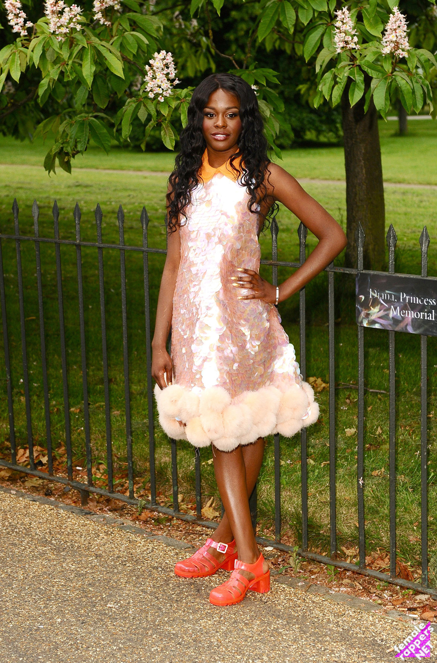 azealia banks serpentine summer party